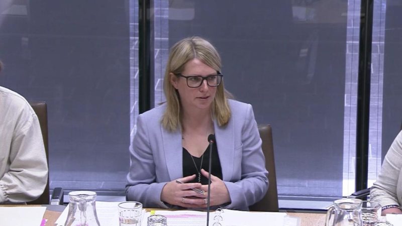 Hannah pictured at a committee meeting in the Welsh Parliament / Senedd in 2019